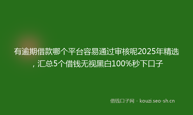 有逾期借款哪个平台容易通过审核呢2025年精选，汇总5个借钱无视黑白100%秒下口子