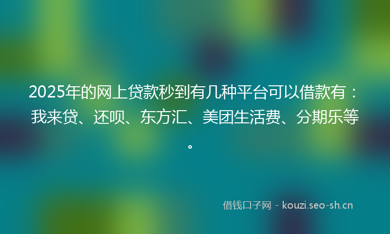 2025年的网上贷款秒到有几种平台可以借款有：我来贷、还呗、东方汇、美团生活费、分期乐等。