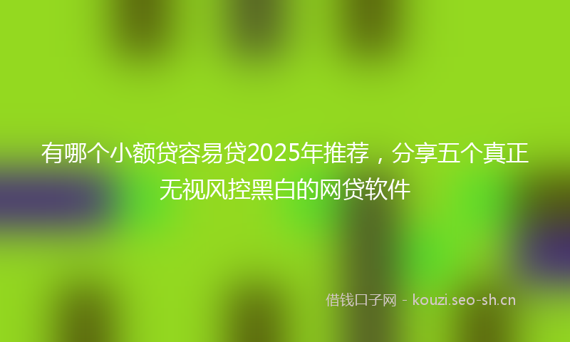 有哪个小额贷容易贷2025年推荐，分享五个真正无视风控黑白的网贷软件