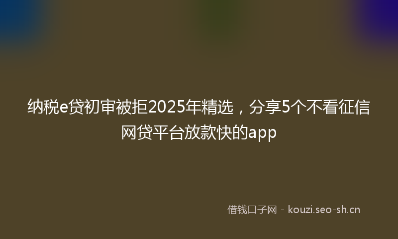 纳税e贷初审被拒2025年精选，分享5个不看征信网贷平台放款快的app