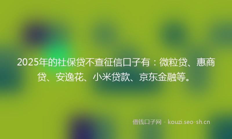2025年的社保贷不查征信口子有：微粒贷、惠商贷、安逸花、小米贷款、京东金融等。
