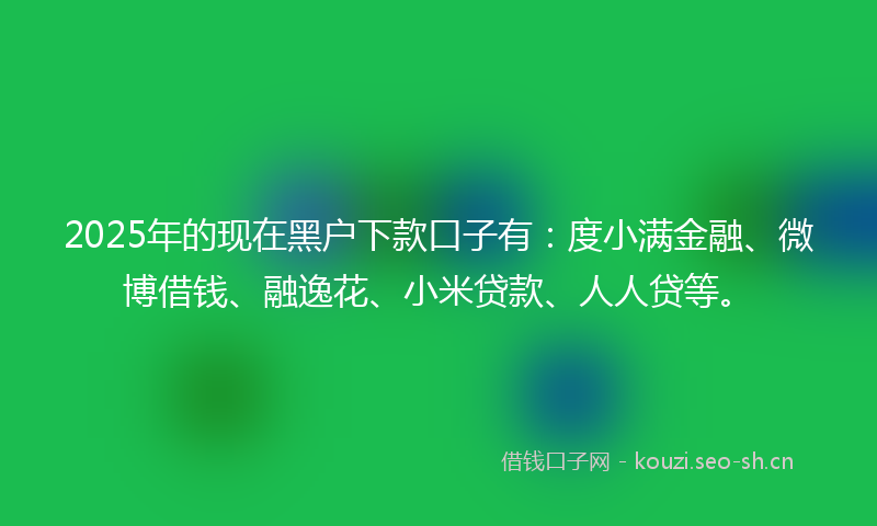 2025年的现在黑户下款口子有：度小满金融、微博借钱、融逸花、小米贷款、人人贷等。