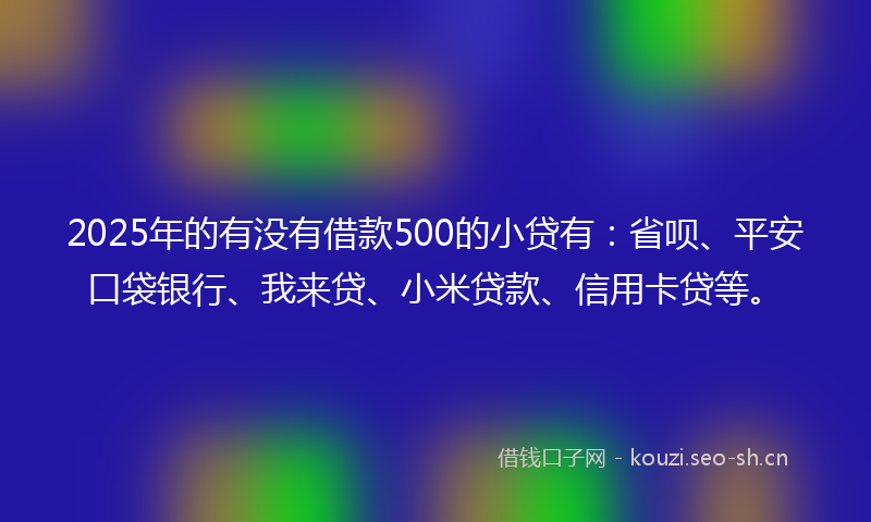2025年的有没有借款500的小贷有：省呗、平安口袋银行、我来贷、小米贷款、信用卡贷等。