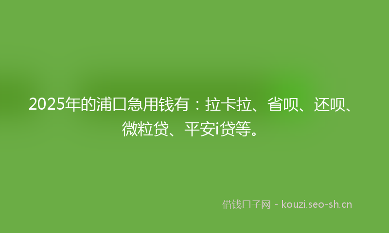2025年的浦口急用钱有：拉卡拉、省呗、还呗、微粒贷、平安i贷等。