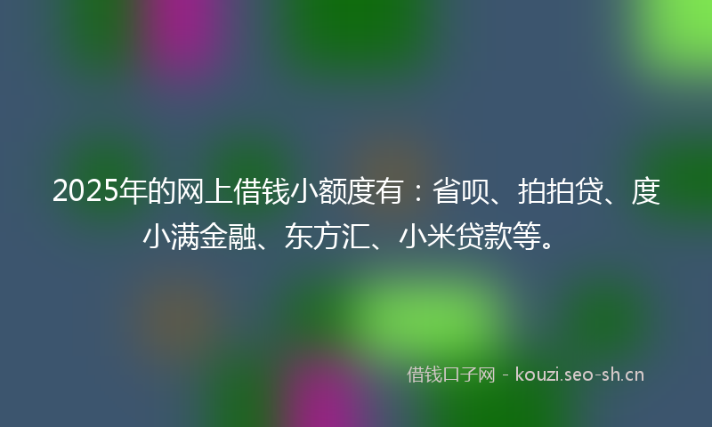 2025年的网上借钱小额度有：省呗、拍拍贷、度小满金融、东方汇、小米贷款等。