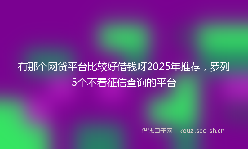 有那个网贷平台比较好借钱呀2025年推荐，罗列5个不看征信查询的平台