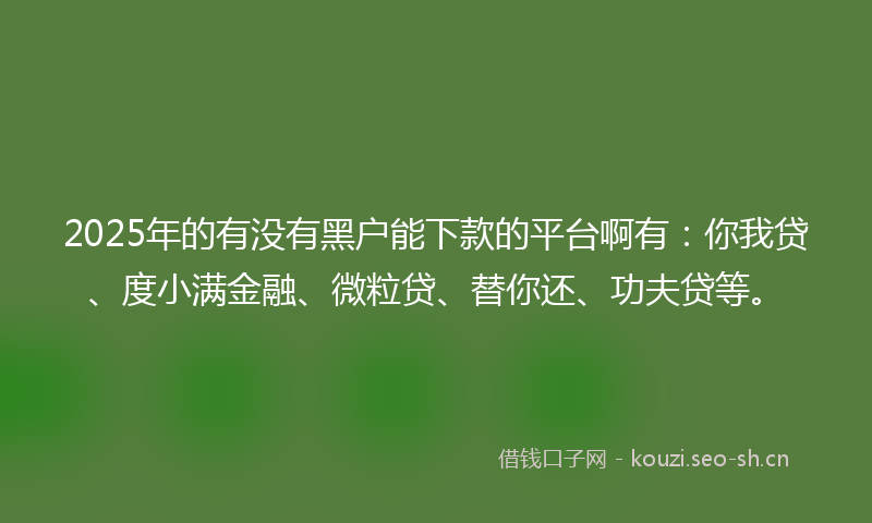 2025年的有没有黑户能下款的平台啊有：你我贷、度小满金融、微粒贷、替你还、功夫贷等。