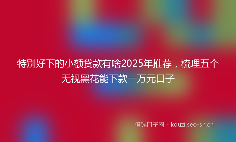 特别好下的小额贷款有啥2025年推荐，梳理五个无视黑花能下款一万元口子