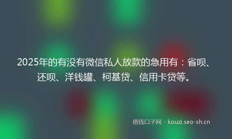 2025年的有没有微信私人放款的急用有：省呗、还呗、洋钱罐、柯基贷、信用卡贷等。