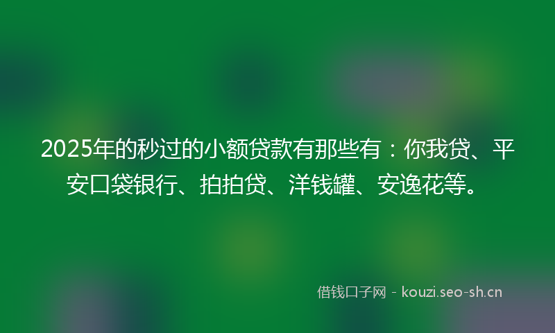 2025年的秒过的小额贷款有那些有：你我贷、平安口袋银行、拍拍贷、洋钱罐、安逸花等。