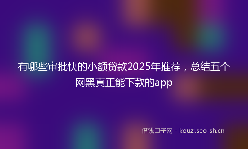 有哪些审批快的小额贷款2025年推荐,总结五个网黑真正能下款的app