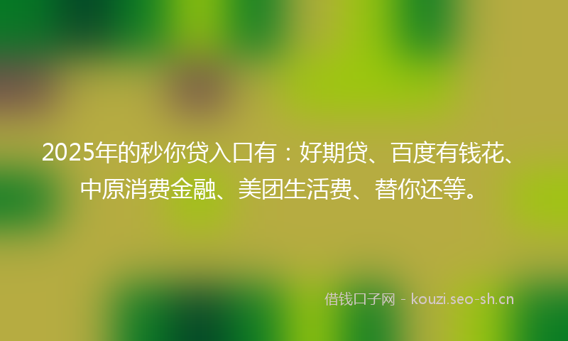 2025年的秒你贷入口有：好期贷、百度有钱花、中原消费金融、美团生活费、替你还等。