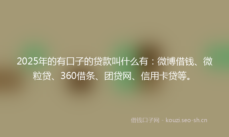 2025年的有口子的贷款叫什么有：微博借钱、微粒贷、360借条、团贷网、信用卡贷等。