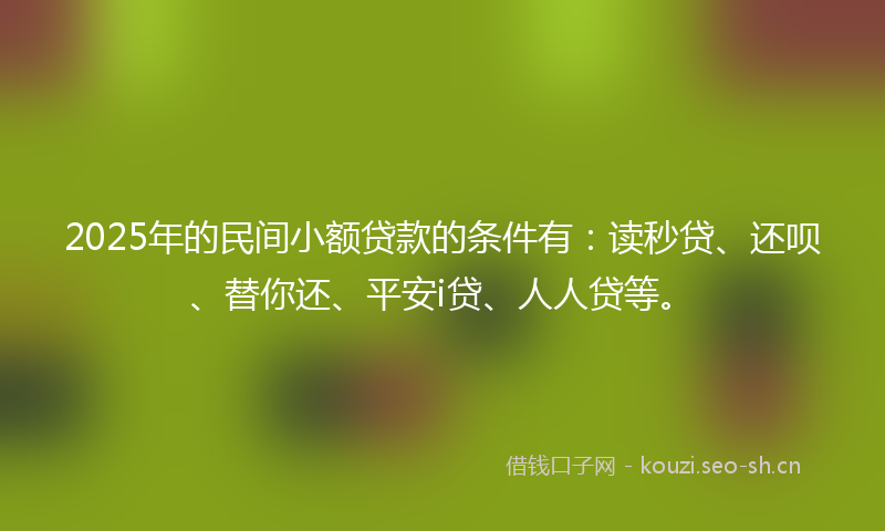 2025年的民间小额贷款的条件有：读秒贷、还呗、替你还、平安i贷、人人贷等。