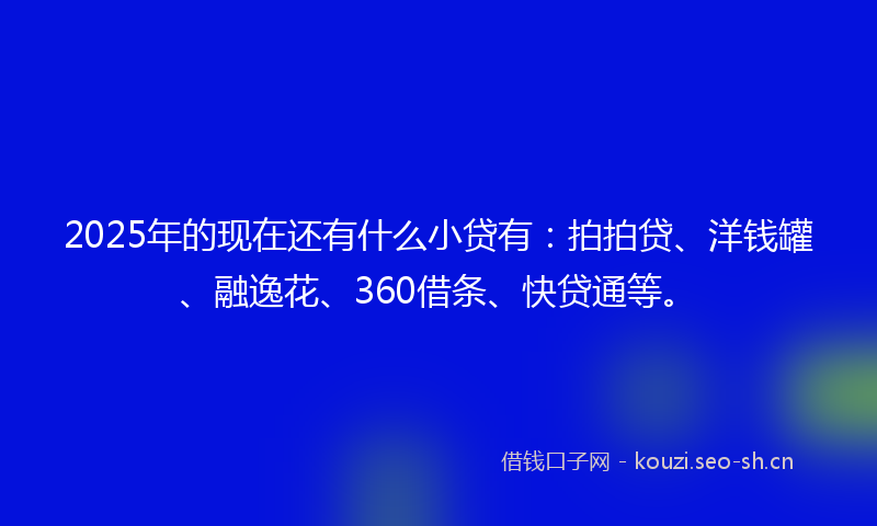 2025年的现在还有什么小贷有：拍拍贷、洋钱罐、融逸花、360借条、快贷通等。