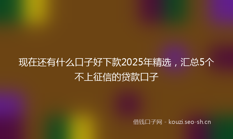 现在还有什么口子好下款2025年精选，汇总5个不上征信的贷款口子
