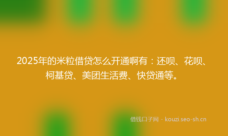 2025年的米粒借贷怎么开通啊有：还呗、花呗、柯基贷、美团生活费、快贷通等。