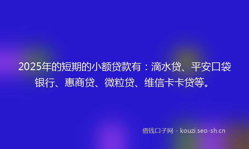 2025年的短期的小额贷款有：滴水贷、平安口袋银行、惠商贷、微粒贷、维信卡卡贷等。