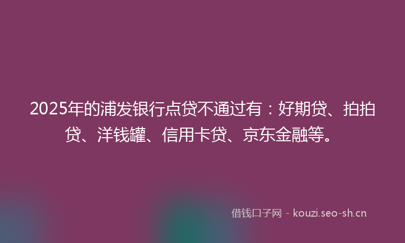 2025年的浦发银行点贷不通过有：好期贷、拍拍贷、洋钱罐、信用卡贷、京东金融等。
