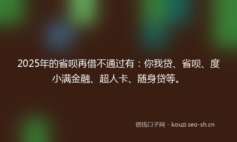 2025年的省呗再借不通过有：你我贷、省呗、度小满金融、超人卡、随身贷等。