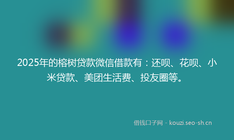 2025年的榕树贷款微信借款有：还呗、花呗、小米贷款、美团生活费、投友圈等。