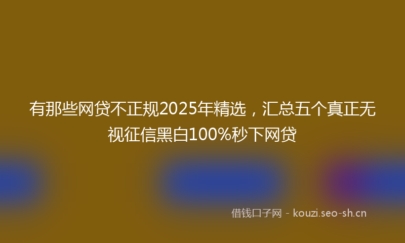 有那些网贷不正规2025年精选，汇总五个真正无视征信黑白100%秒下网贷