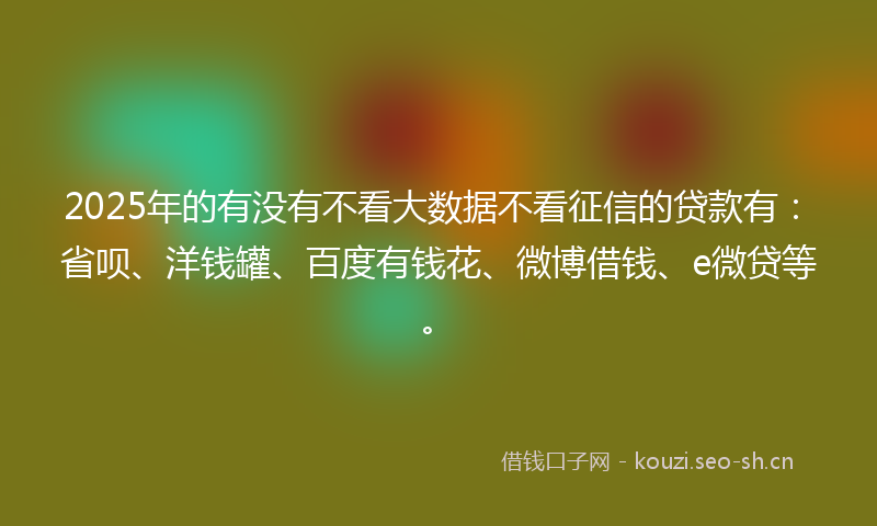 2025年的有没有不看大数据不看征信的贷款有：省呗、洋钱罐、百度有钱花、微博借钱、e微贷等。