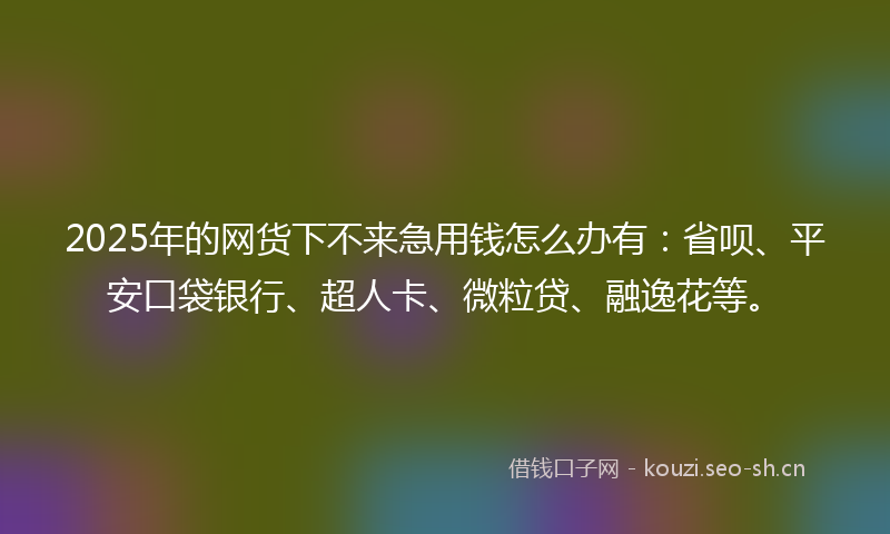 2025年的网货下不来急用钱怎么办有：省呗、平安口袋银行、超人卡、微粒贷、融逸花等。