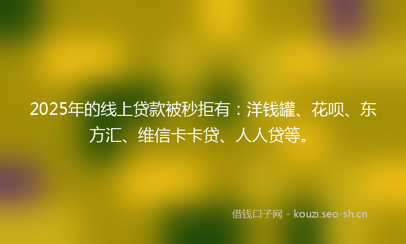 2025年的线上贷款被秒拒有：洋钱罐、花呗、东方汇、维信卡卡贷、人人贷等。