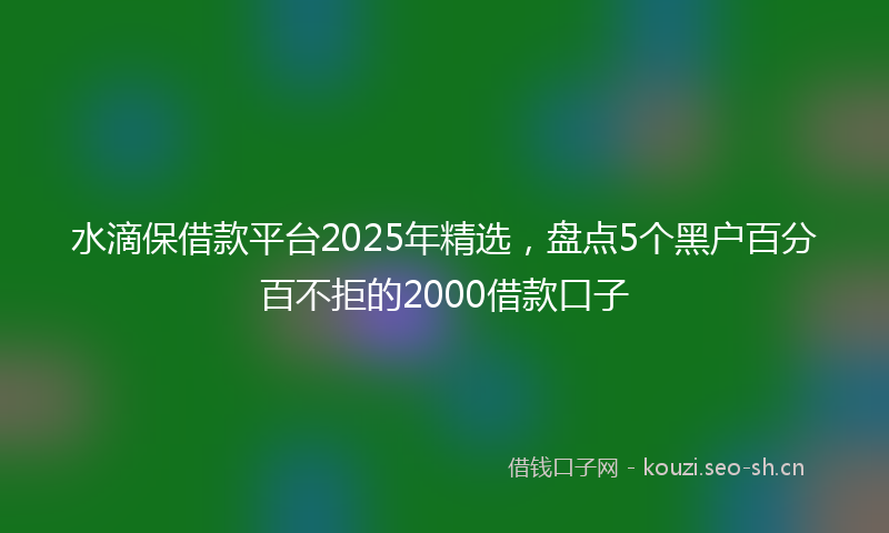 水滴保借款平台2025年精选，盘点5个黑户百分百不拒的2000借款口子