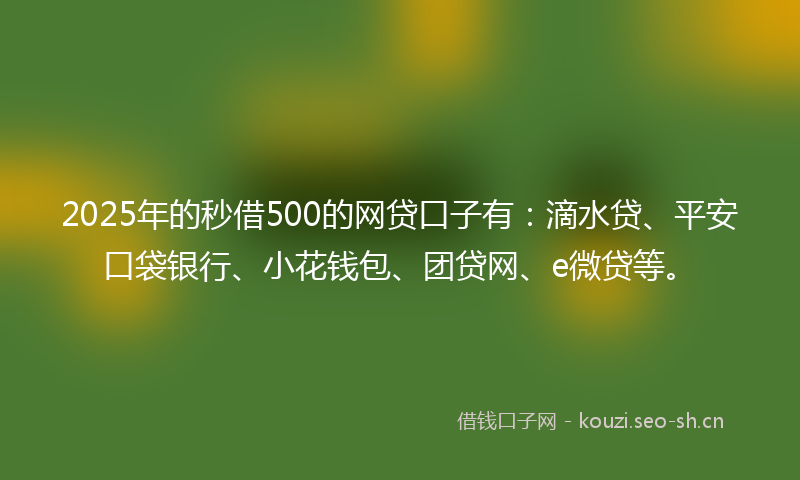 2025年的秒借500的网贷口子有：滴水贷、平安口袋银行、小花钱包、团贷网、e微贷等。