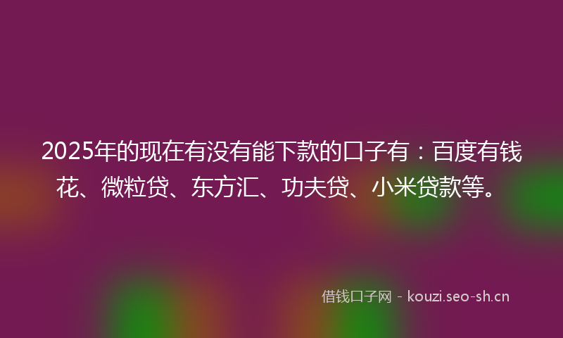 2025年的现在有没有能下款的口子有：百度有钱花、微粒贷、东方汇、功夫贷、小米贷款等。