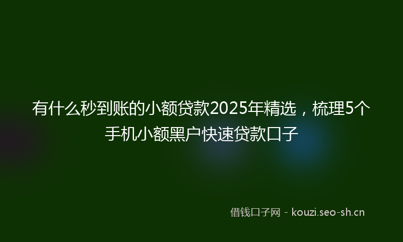 有什么秒到账的小额贷款2025年精选,梳理5个手机小额黑户快速贷款口子