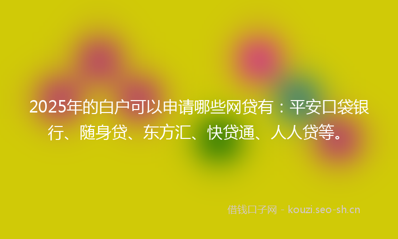 2025年的白户可以申请哪些网贷有：平安口袋银行、随身贷、东方汇、快贷通、人人贷等。