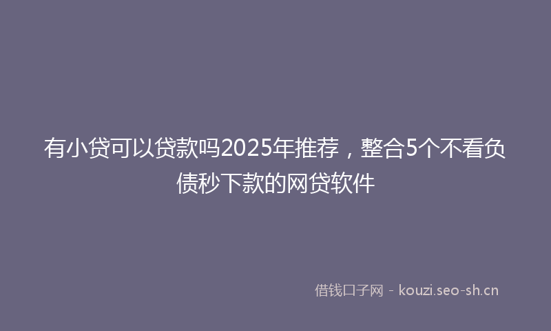 有小贷可以贷款吗2025年推荐，整合5个不看负债秒下款的网贷软件