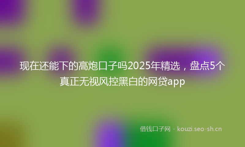 现在还能下的高炮口子吗2025年精选，盘点5个真正无视风控黑白的网贷app