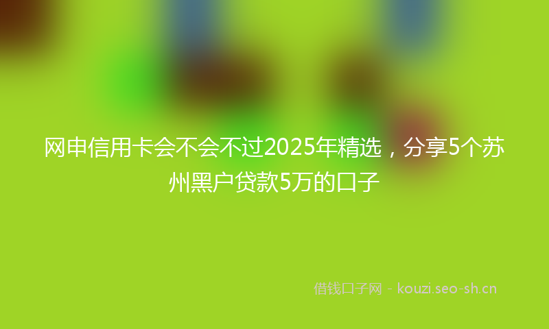 网申信用卡会不会不过2025年精选，分享5个苏州黑户贷款5万的口子