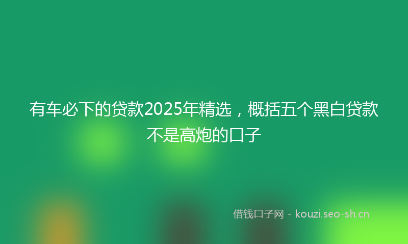 有车必下的贷款2025年精选，概括五个黑白贷款不是高炮的口子