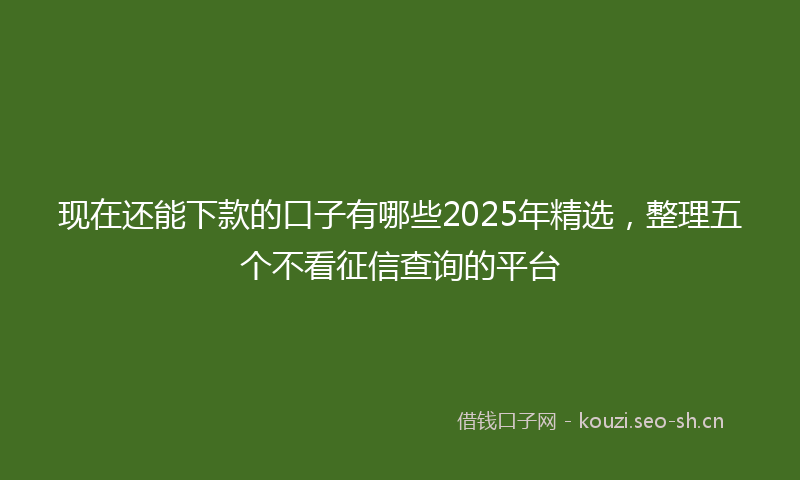 现在还能下款的口子有哪些2025年精选，整理五个不看征信查询的平台
