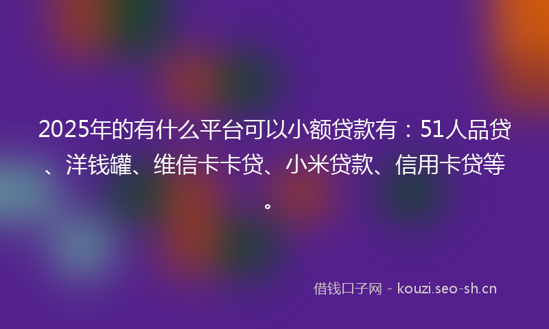 2025年的有什么平台可以小额贷款有：51人品贷、洋钱罐、维信卡卡贷、小米贷款、信用卡贷等。