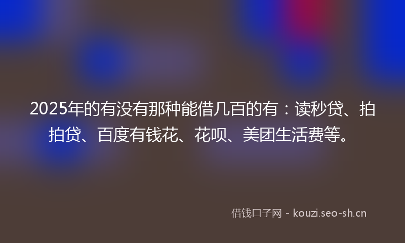 2025年的有没有那种能借几百的有：读秒贷、拍拍贷、百度有钱花、花呗、美团生活费等。