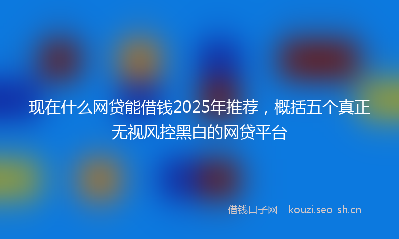 现在什么网贷能借钱2025年推荐，概括五个真正无视风控黑白的网贷平台