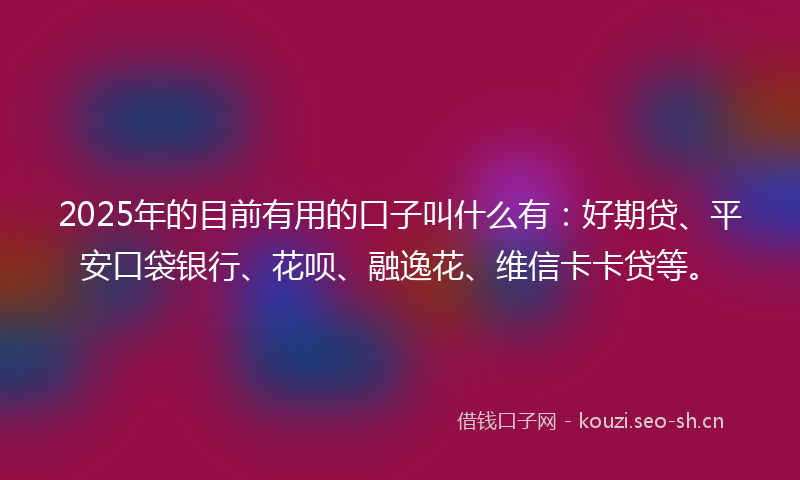 2025年的目前有用的口子叫什么有：好期贷、平安口袋银行、花呗、融逸花、维信卡卡贷等。