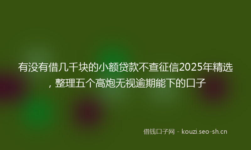 有没有借几千块的小额贷款不查征信2025年精选，整理五个高炮无视逾期能下的口子