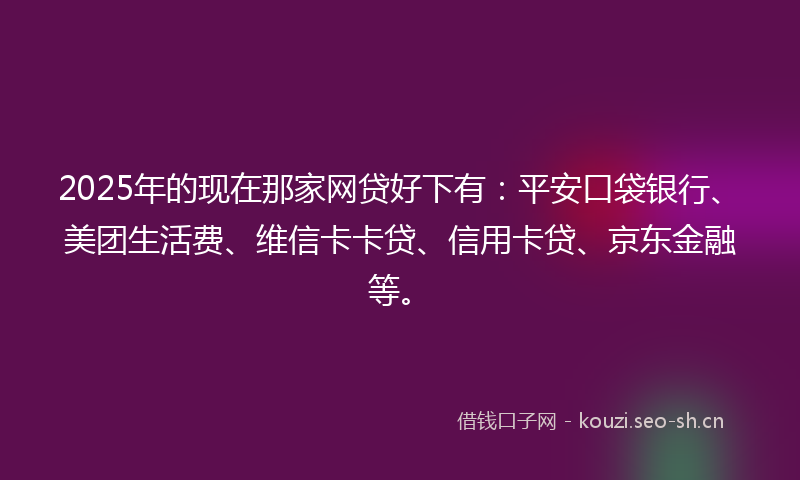 2025年的现在那家网贷好下有：平安口袋银行、美团生活费、维信卡卡贷、信用卡贷、京东金融等。