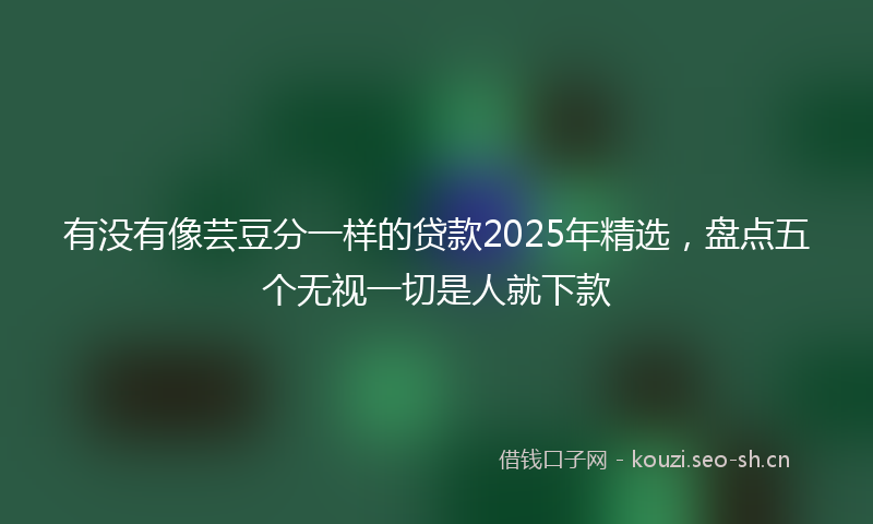 有没有像芸豆分一样的贷款2025年精选，盘点五个无视一切是人就下款