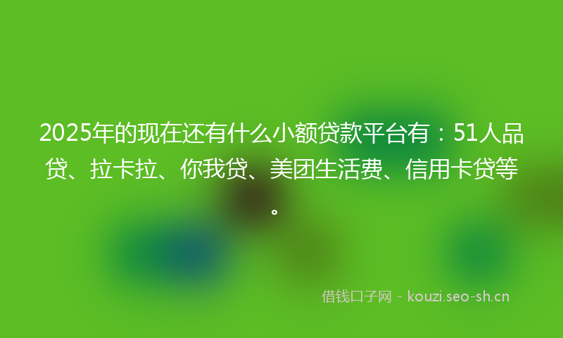 2025年的现在还有什么小额贷款平台有：51人品贷、拉卡拉、你我贷、美团生活费、信用卡贷等。