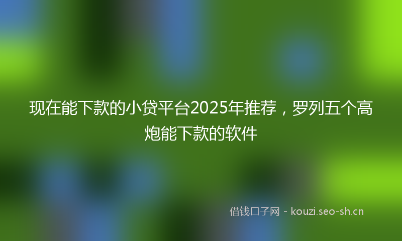 现在能下款的小贷平台2025年推荐，罗列五个高炮能下款的软件