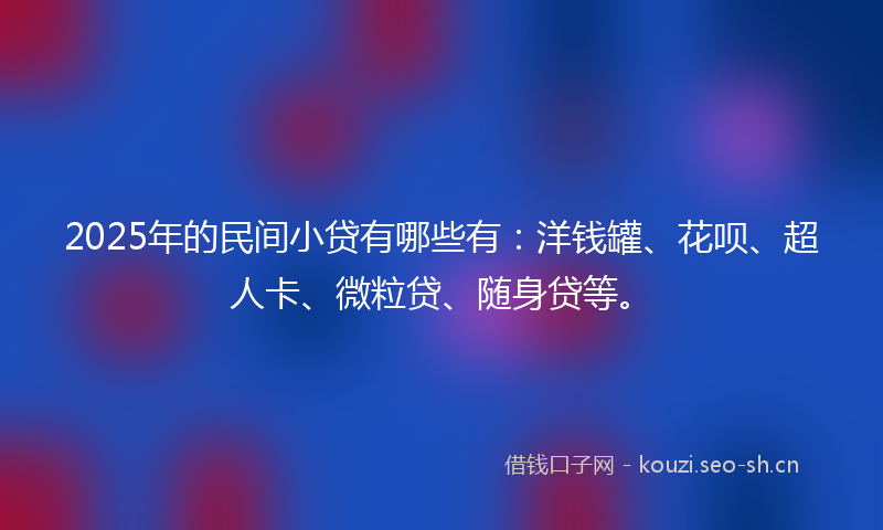 2025年的民间小贷有哪些有：洋钱罐、花呗、超人卡、微粒贷、随身贷等。