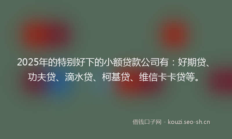 2025年的特别好下的小额贷款公司有：好期贷、功夫贷、滴水贷、柯基贷、维信卡卡贷等。